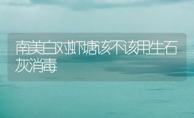 南美白对虾塘该不该用生石灰消毒 | 海水养殖