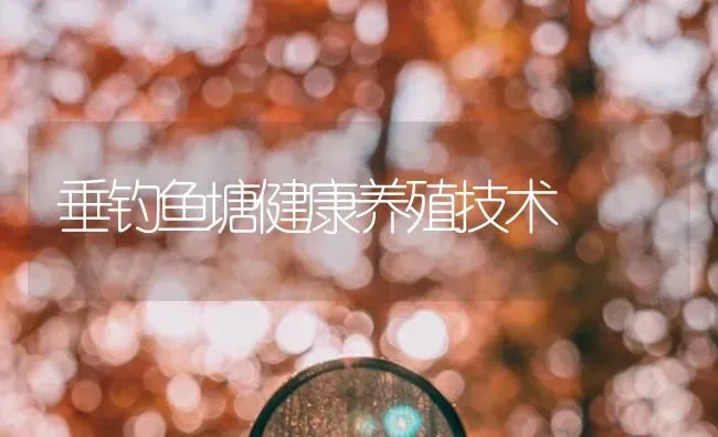 垂钓鱼塘健康养殖技术 | 特种养殖