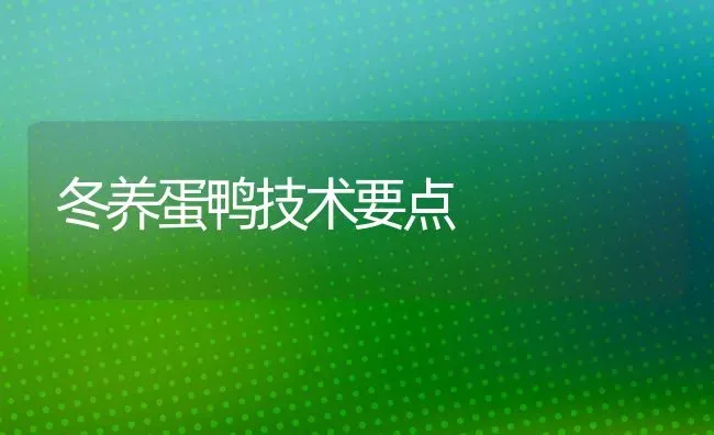 冬养蛋鸭技术要点 | 家禽养殖