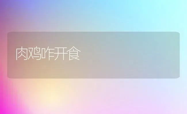 肉鸡咋开食 | 家禽养殖