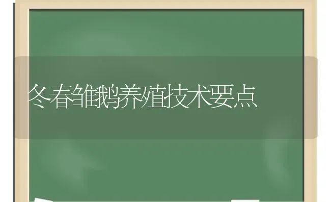 冬春雏鹅养殖技术要点 | 家禽养殖