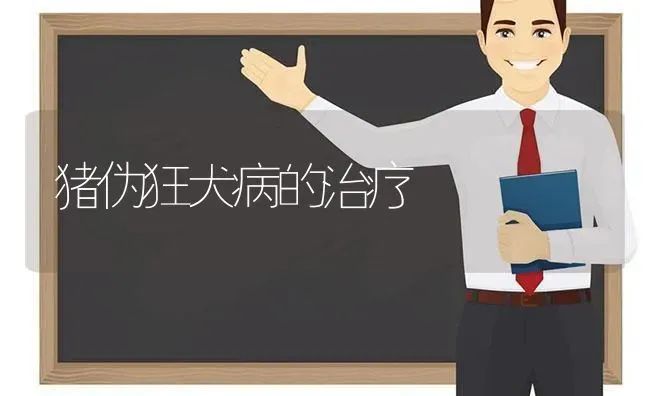 猪伪狂犬病的治疗 | 家畜养殖