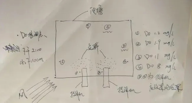 一个池塘投饵台怎样设置才是最合理的？
