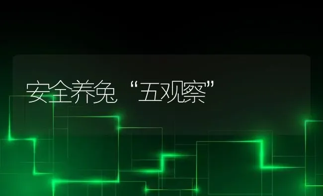 安全养兔“五观察” | 家畜养殖
