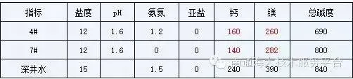 秋季小棚养殖南美白对虾掉苗处理案例分享