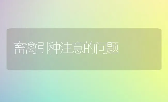 畜禽引种注意的问题 | 家禽养殖