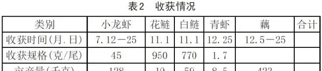 利用标准化技术 | 藕田养殖小龙虾