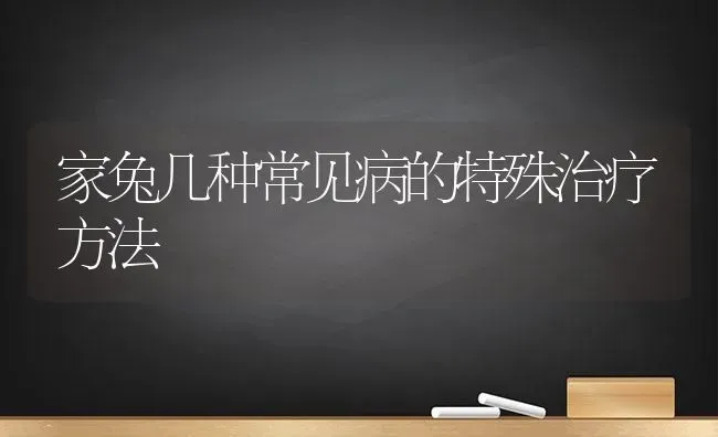 家兔几种常见病的特殊治疗方法 | 家畜养殖