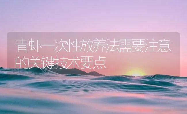 青虾一次性放养法需要注意的关键技术要点 | 海水养殖