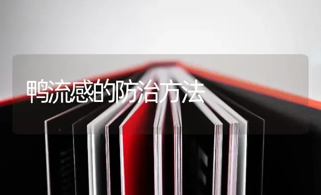 鸭流感的防治方法 | 家禽养殖