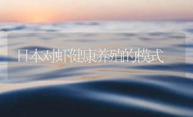 日本对虾健康养殖的模式 | 海水养殖