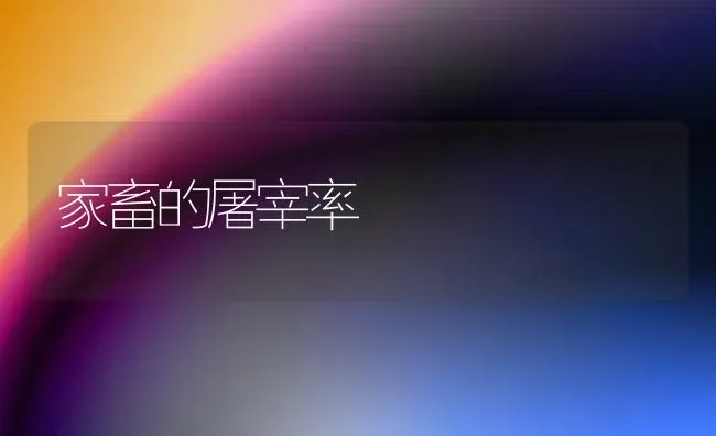 家畜的屠宰率 | 家畜养殖