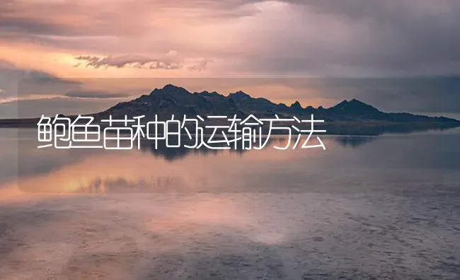 鲍鱼苗种的运输方法 | 海水养殖