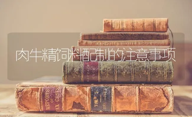 肉牛精饲料配制的注意事项 | 动物养殖饲料
