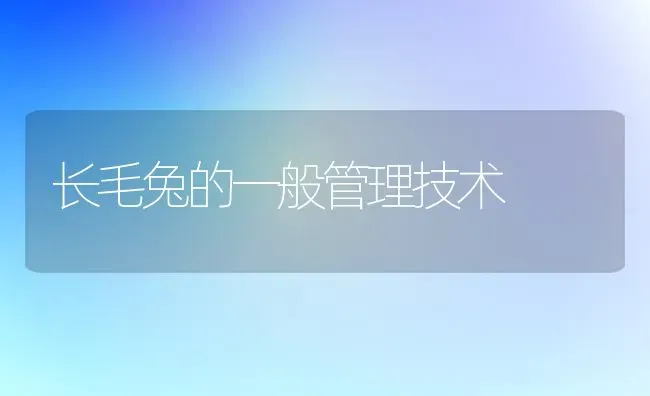 长毛兔的一般管理技术 | 家畜养殖