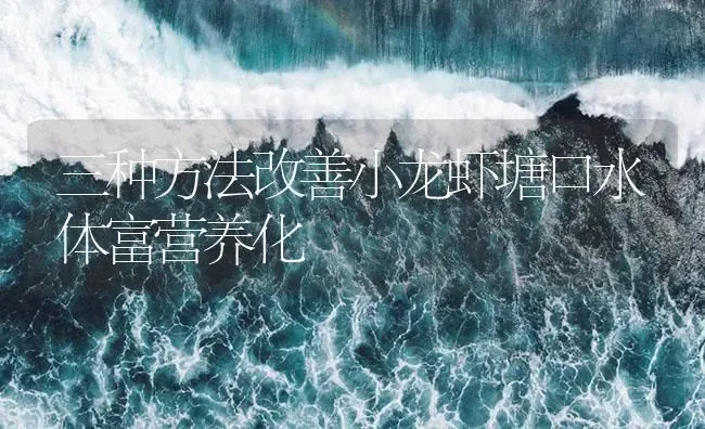 三种方法改善小龙虾塘口水体富营养化 | 海水养殖