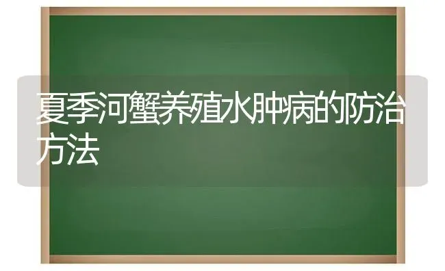 夏季河蟹养殖水肿病的防治方法 | 淡水养殖