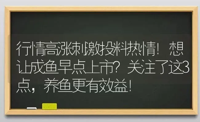 行情高涨刺激投料热情！想让成鱼早点上市？关注了这3点，养鱼更有效益！ | 动物养殖百科