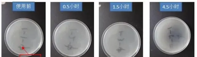 【灾后重建之消毒篇】下雨过后，您的池塘干净了吗