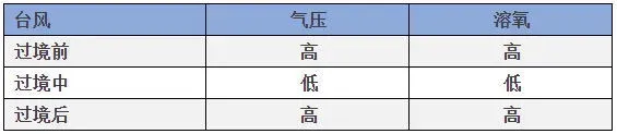 连续高温，隐患已初现，八九月份对虾养殖户仍不可放松警惕