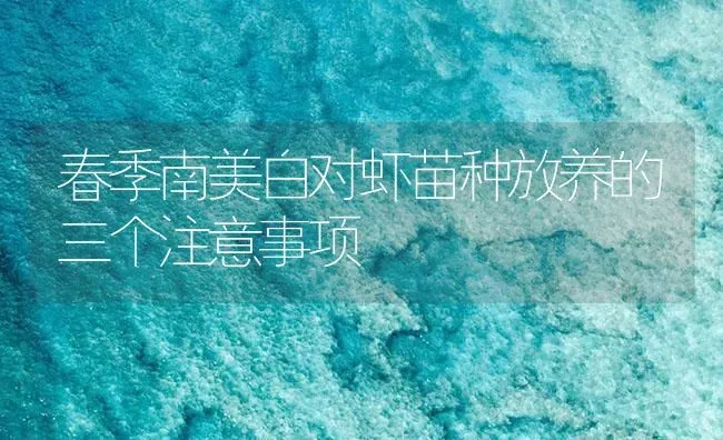 春季南美白对虾苗种放养的三个注意事项 | 海水养殖