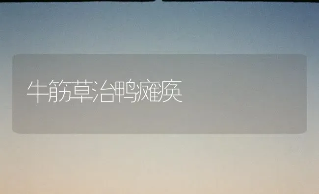 牛筋草治鸭瘫痪 | 家禽养殖