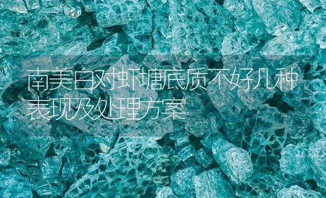 南美白对虾塘底质不好几种表现及处理方案 | 海水养殖