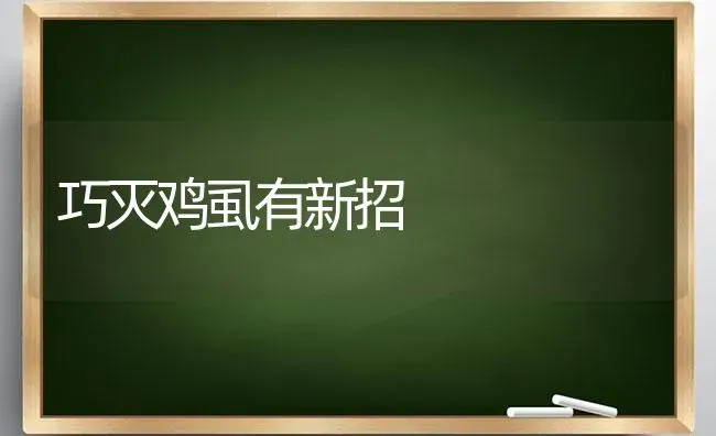 巧灭鸡虱有新招 | 家禽养殖