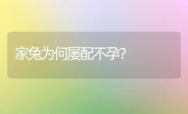 家兔为何屡配不孕？ | 家畜养殖