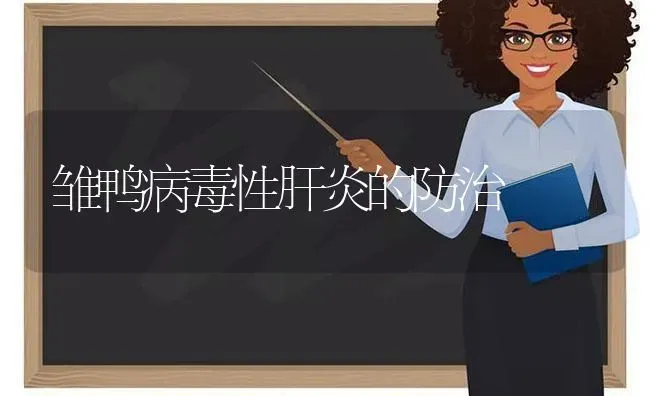 雏鸭病毒性肝炎的防治 | 家禽养殖
