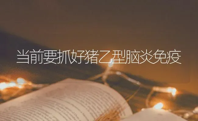 当前要抓好猪乙型脑炎免疫 | 家畜养殖