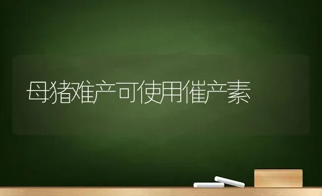 母猪难产可使用催产素 | 家畜养殖