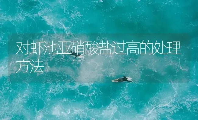 对虾池亚硝酸盐过高的处理方法 | 海水养殖