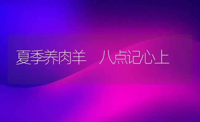 夏季养肉羊 八点记心上 | 家畜养殖