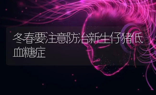 冬春要注意防治新生仔猪低血糖症 | 家畜养殖