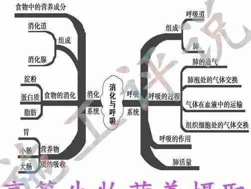 消毒杀菌会不会也把生存在水体里的鱼虾也杀灭了？