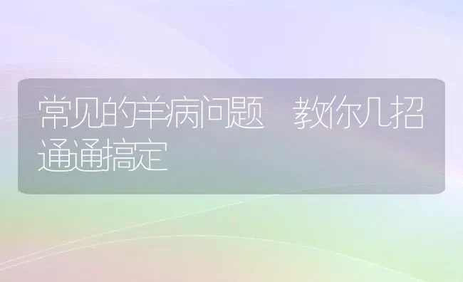 常见的羊病问题　教你几招通通搞定 | 家畜养殖