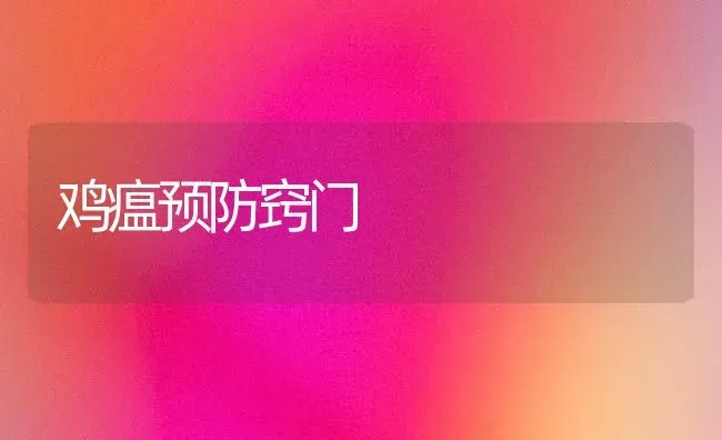 笼养的肉鸭注意防治三种疾病 | 家禽养殖