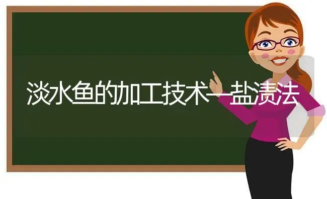 淡水鱼的加工技术―盐渍法 | 淡水养殖