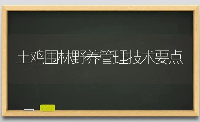 土鸡围林野养管理技术要点 | 家禽养殖