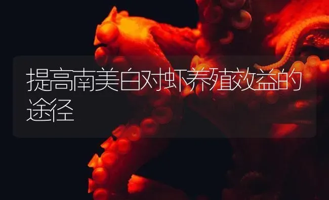提高南美白对虾养殖效益的途径 | 海水养殖