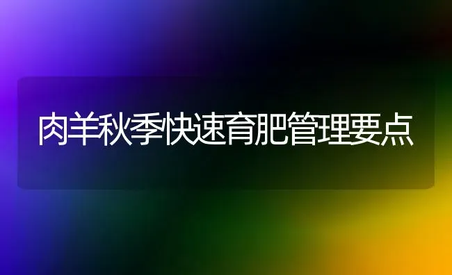 肉羊秋季快速育肥管理要点 | 家畜养殖