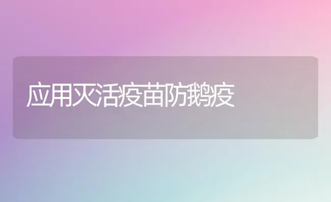应用灭活疫苗防鹅疫 | 家禽养殖