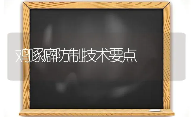 鸡啄癖防制技术要点 | 家禽养殖