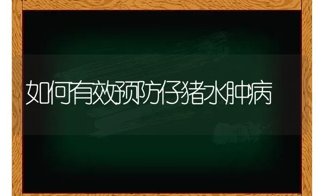 如何有效预防仔猪水肿病 | 家畜养殖