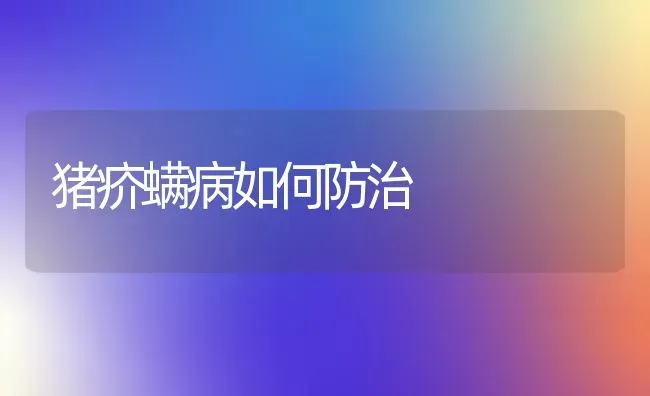 猪疥螨病如何防治 | 家畜养殖
