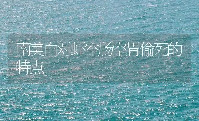 南美白对虾空肠空胃偷死的特点 | 海水养殖