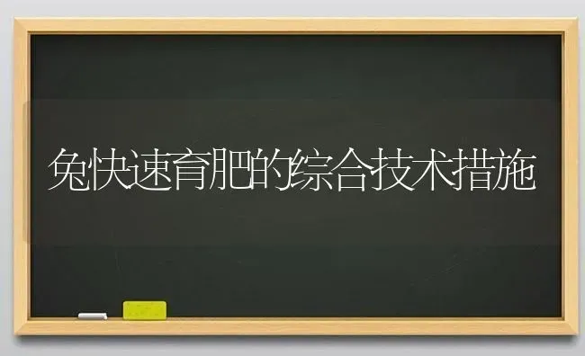 兔快速育肥的综合技术措施 | 家畜养殖