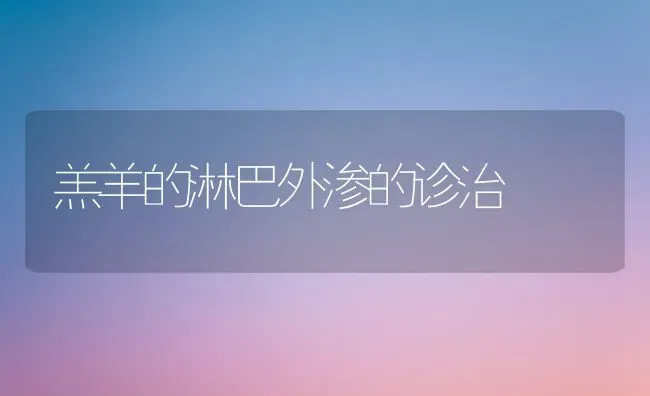 羔羊的淋巴外渗的诊治 | 家畜养殖