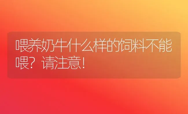 喂养奶牛什么样的饲料不能喂？请注意！ | 动物养殖饲料